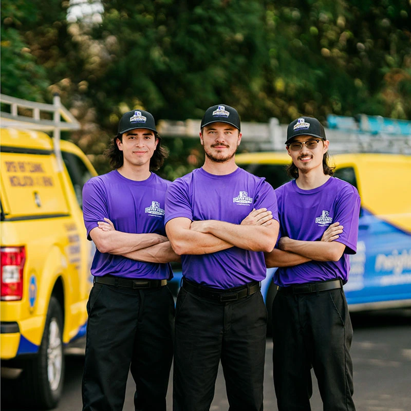 Dryer Vent Cleaning Services